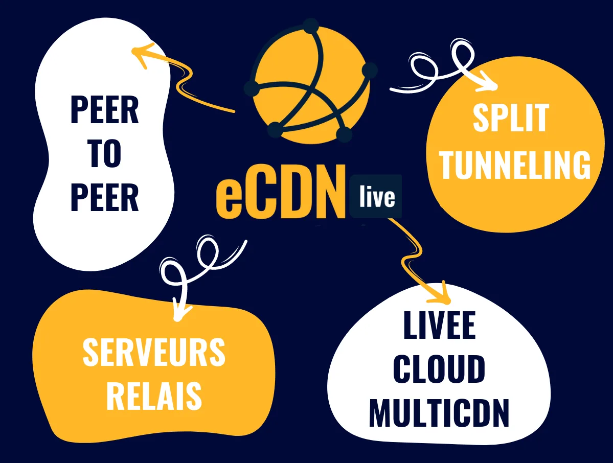 Aperçu des solutions eCDN de LiveE